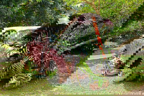 Old Garage Items Turned Into Cool Gardening Things 11