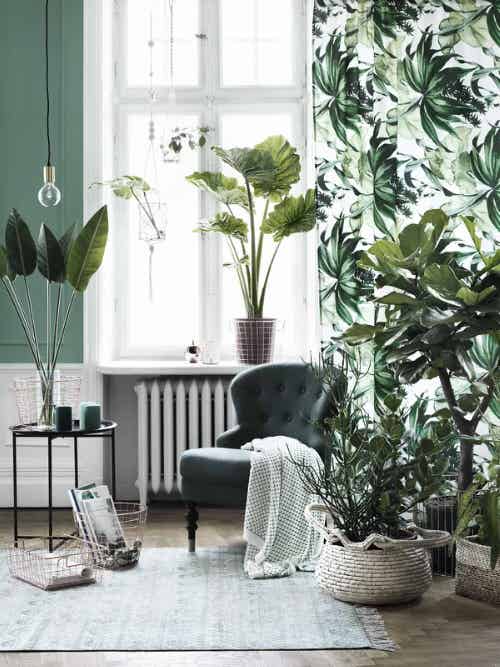 Really Small Living Room with Plant Ideas 5