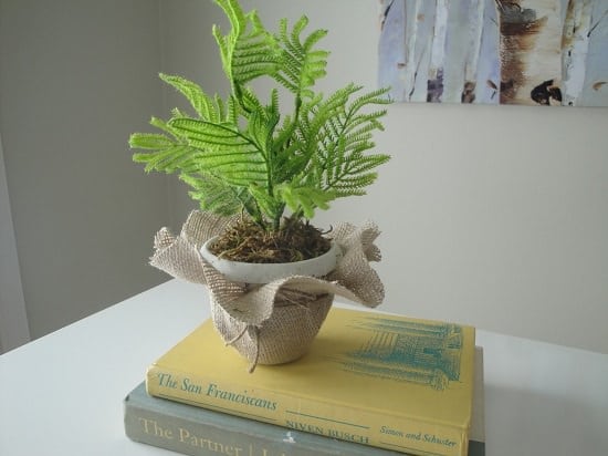 DIY Faux Plant