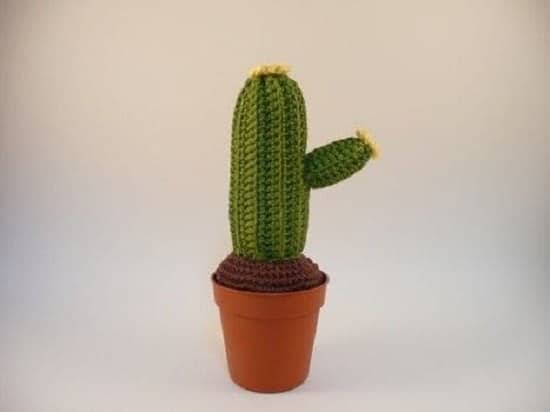 DIY Crochet Cactus