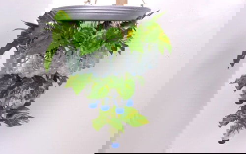 Make Your Own Hanging Garden 9