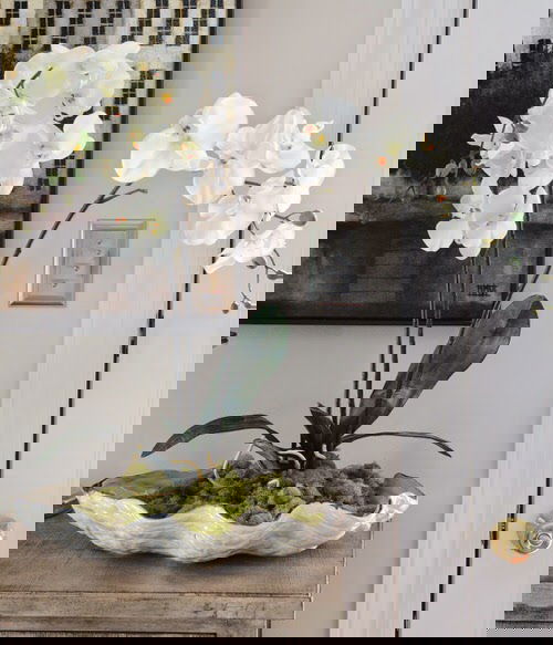 Indoor Plants for Minimalist Home 7