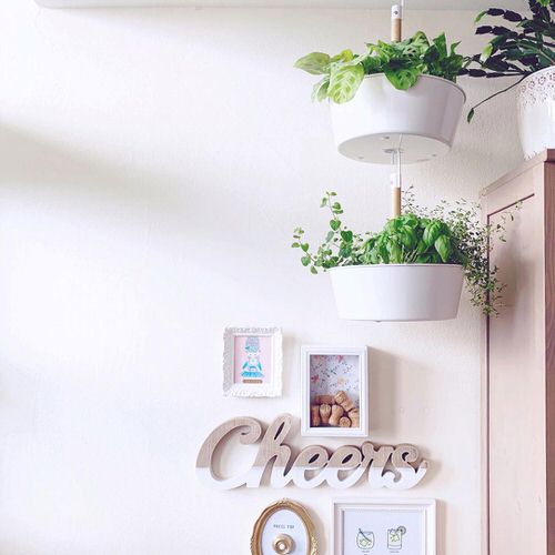 How IKEA Pots Change the Look of Indoor Plants 5