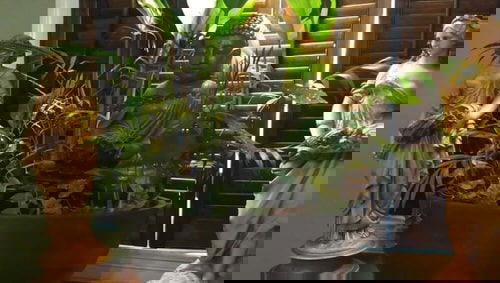 Ideas to Steal from Japanese Zen Garden 4