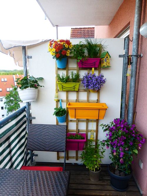 Rainbow Vertical Garden Ideas 2