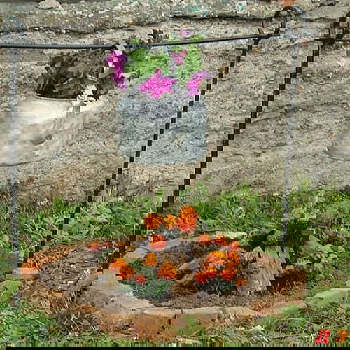 Insanely Instant Ideas to Decorate Your Garden 30