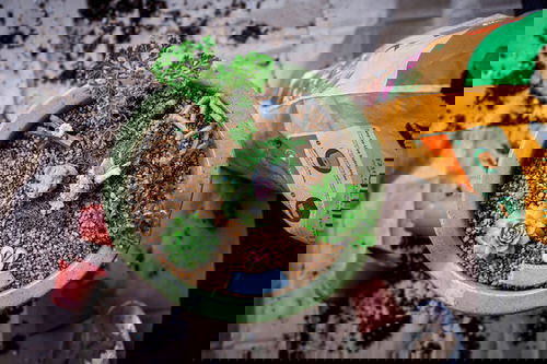 DIY Miniature Fairy Garden Ideas 27