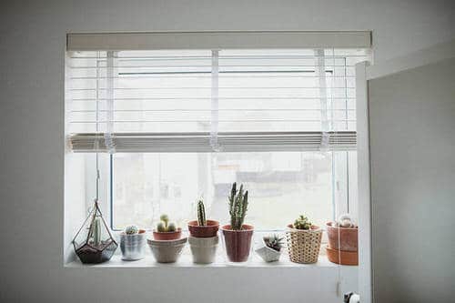 Windowsill Decor Ideas with Plants