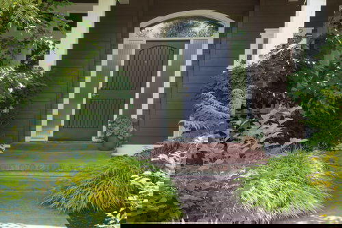 Best Entrance Plants Pictures 5