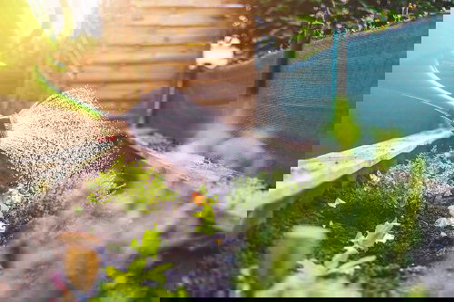 Cornstarch Uses in the Garden 3