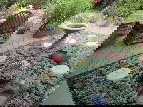 Succulent Porch Garden Ideas 7