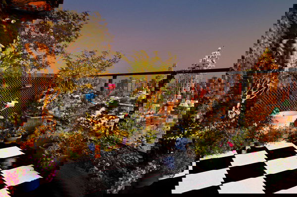 terrace garden tips 16