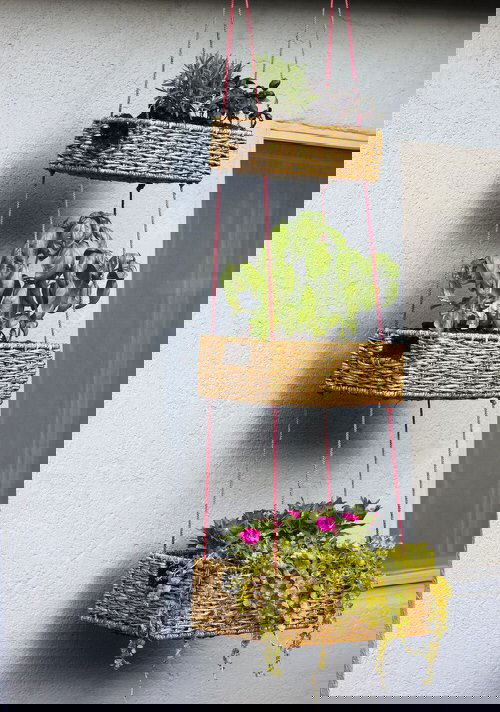 Make Your Own Hanging Garden 4