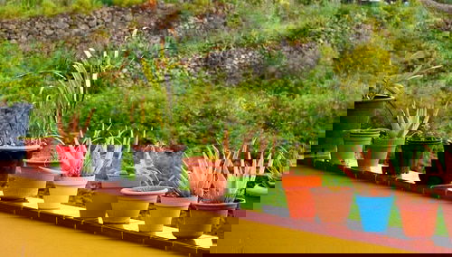 Balcony Homesteading Ideas 4