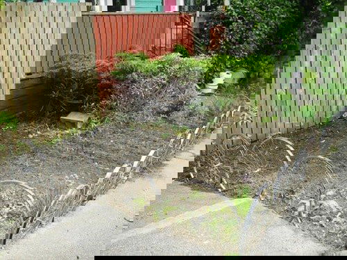 DIY Lawn and Garden Edging Ideas 41