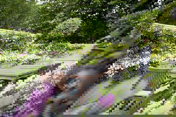 terrace garden tips 5