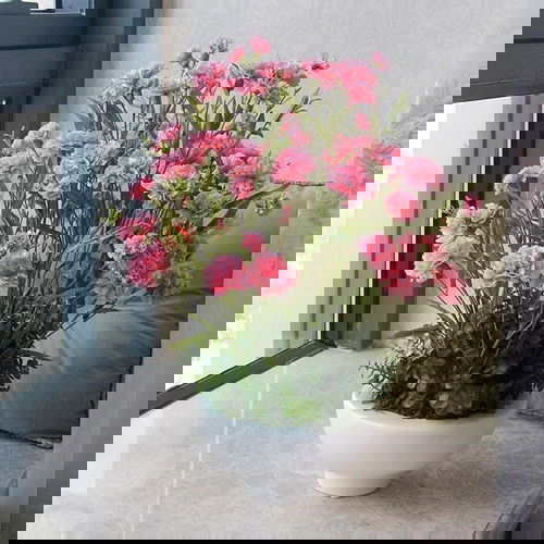 Flowers that Look Like Roses 3