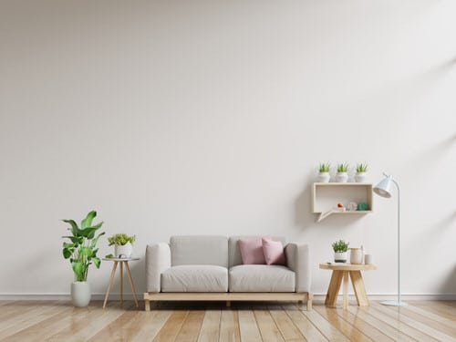 Best Insta Worthy Photos of House Plants 3