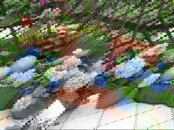 landscaping with hydrangea (11)_mini