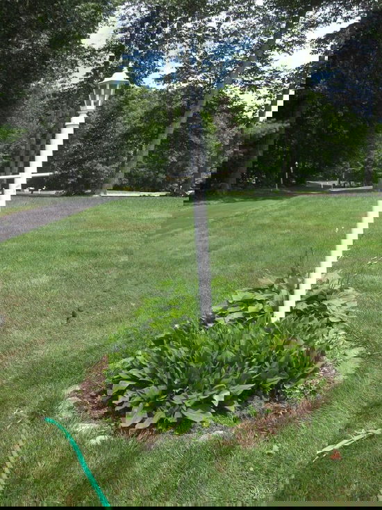 DIY Lamp Post Ideas 7