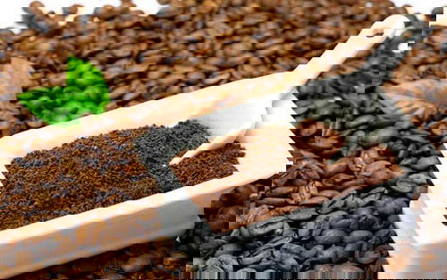 Odor Killing Hacks with Nature for Garden and Home 3