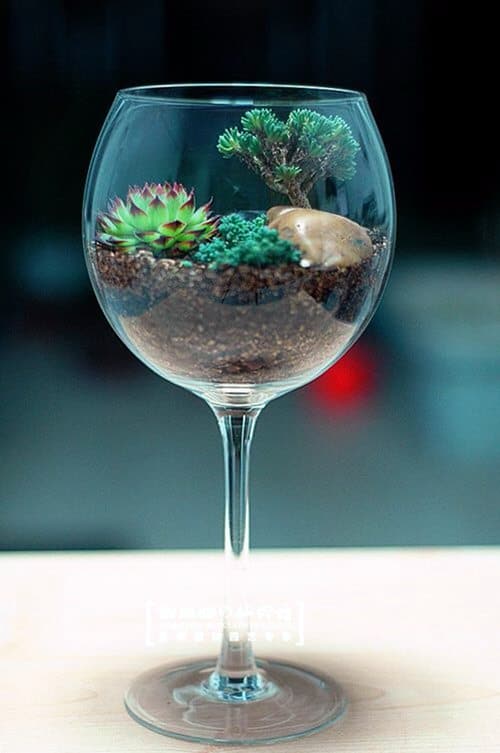 Smart Miniaturized Indoor Garden Projects 9