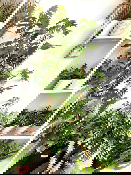 Indoor Climbers Pictures 12