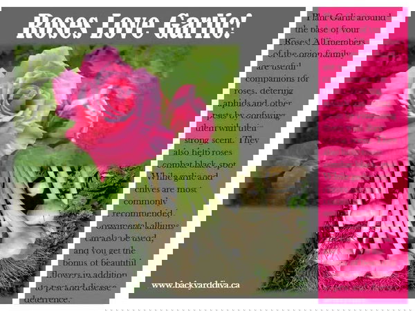 38039c6765d52a6cefd873a77d7fadce