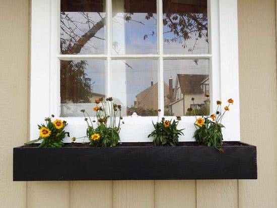 DIY Window Box Idea
