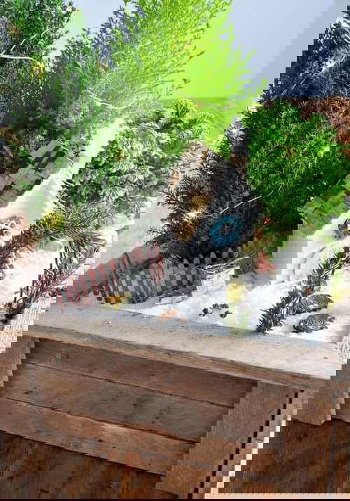 DIY Plant Gift Ideas for Christmas 2