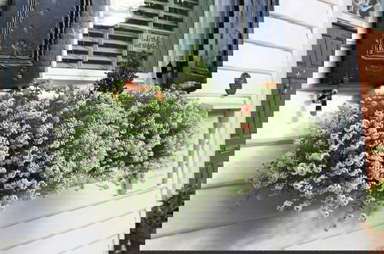 Easy to maintain Cascading Flowers for Window Boxes