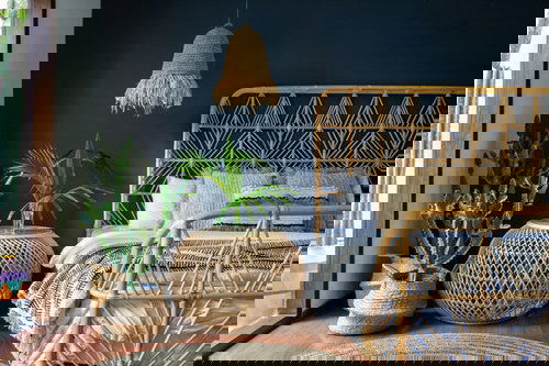 Pin Worthy Houseplant Pictures 33