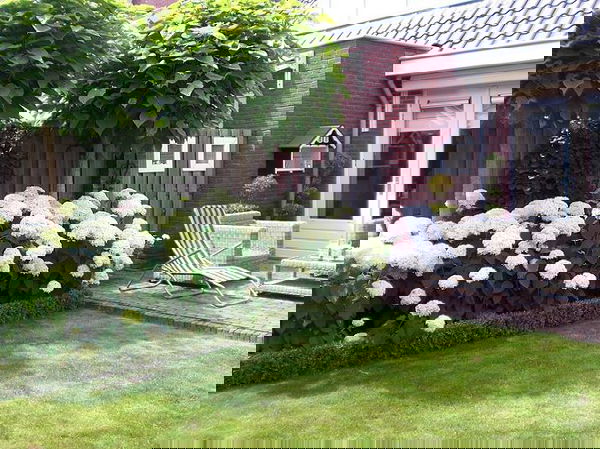 landscaping with hydrangea (3)_mini