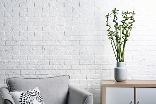 Different Types of Lucky Bamboo Styles 2