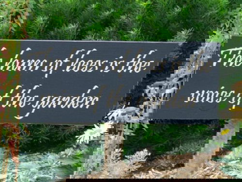 garden sign ideas (5)