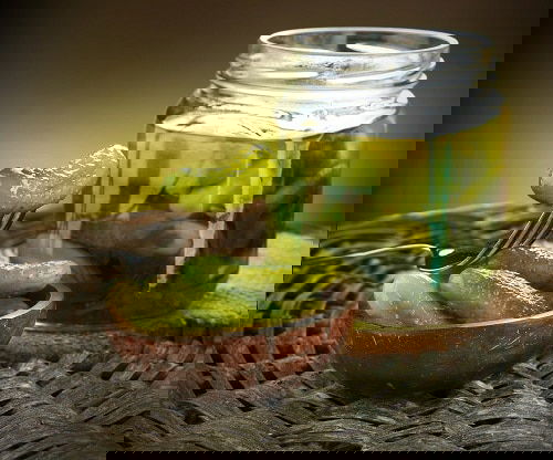 Best Plants and Trees You Should Grow for Homemade Pickles