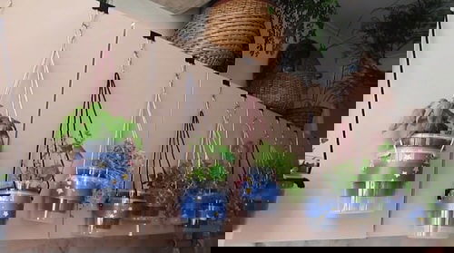 Make Your Own Hanging Garden 7