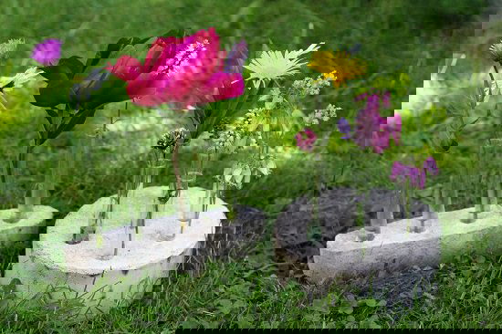 some of the best DIY Cement Garden Ideas