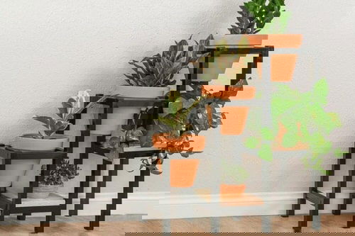 DIY Plant Stand Ideas 53