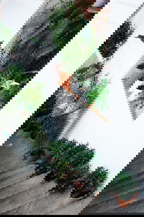 Indoor Garden on the Staircase 24