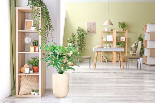 Pin Worthy Houseplant Pictures 2