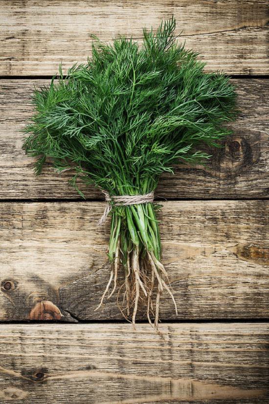 List of Cooking Herbs that are rare but true