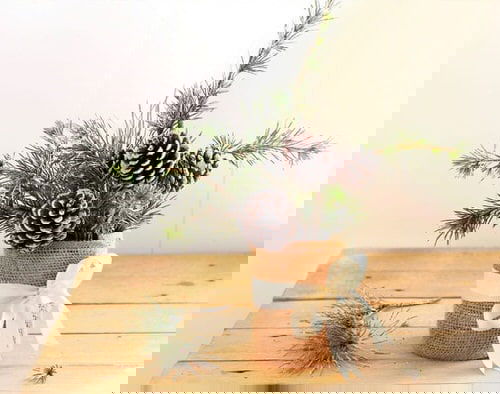 DIY Tabletop Centerpiece Ideas for Gardeners 7