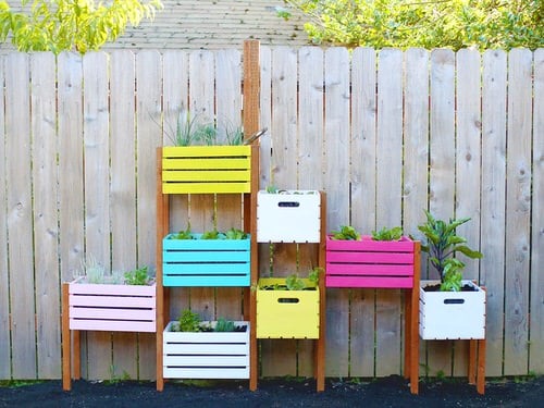 Rainbow Vertical Garden Ideas 4