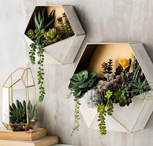 Artistic Plant Wall Art Ideas for Home DÃ©cor