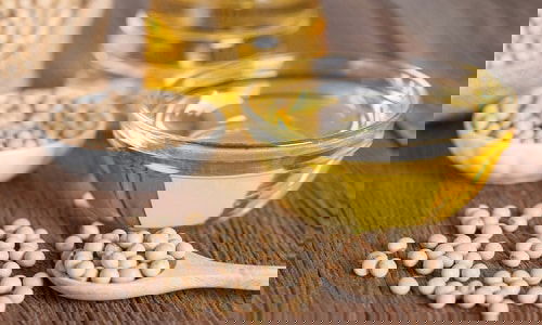 DIY Homemade Mosquito Repellant Ideas 10