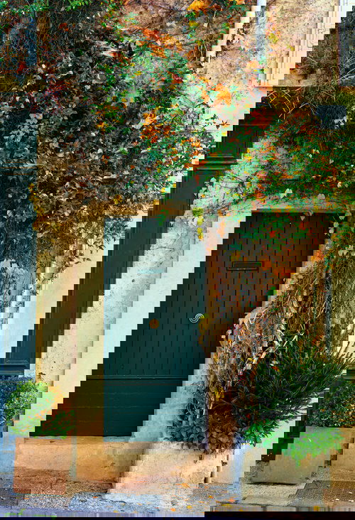 Best Entrance Plants Pictures 12