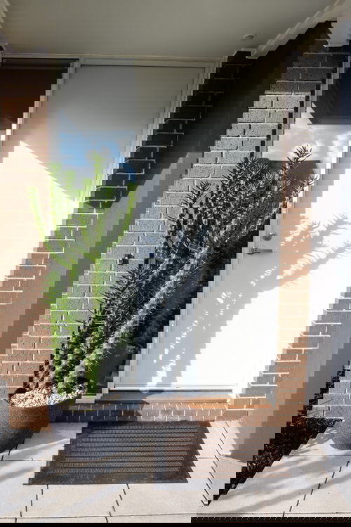 Best Entrance Plants Pictures 28