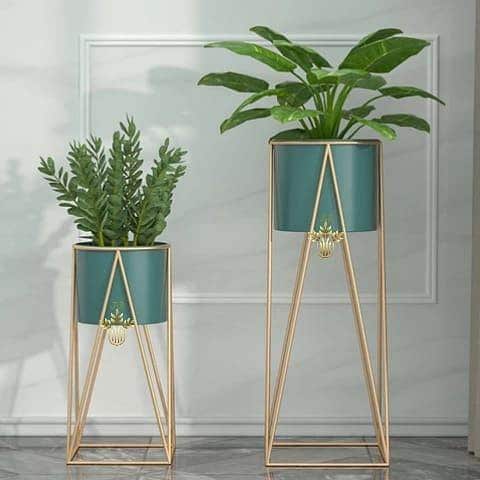 Pictures of Indoor Plants in Metallic Planters 6