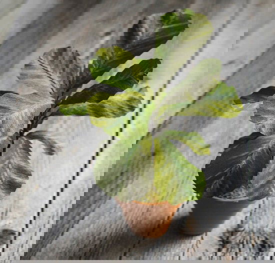 how to make fake plants 27 projects